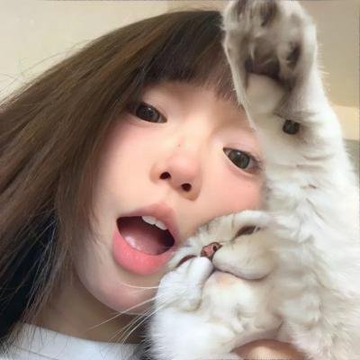 我的美国心
